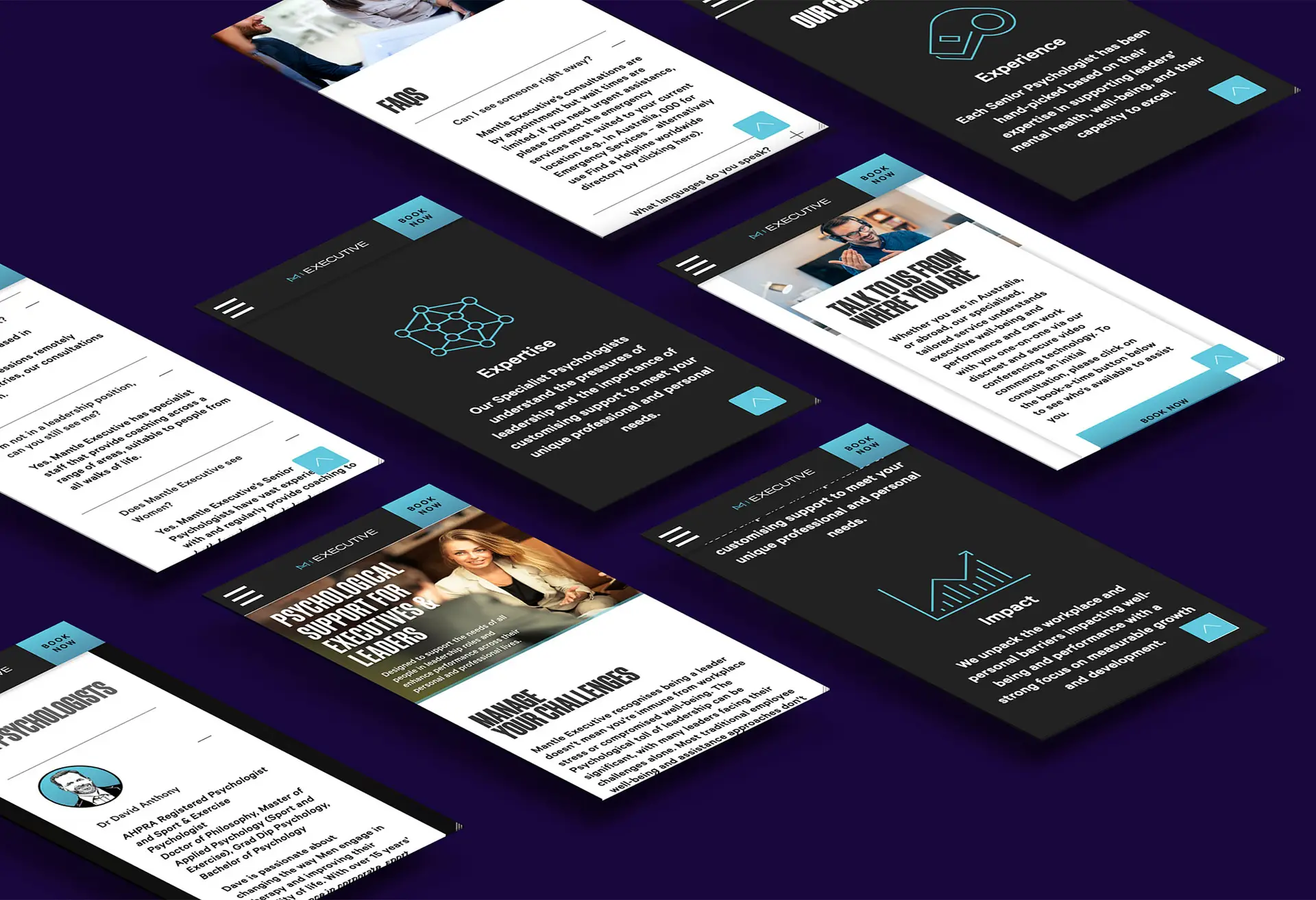 Psychology Website Design Mantle Excecutive