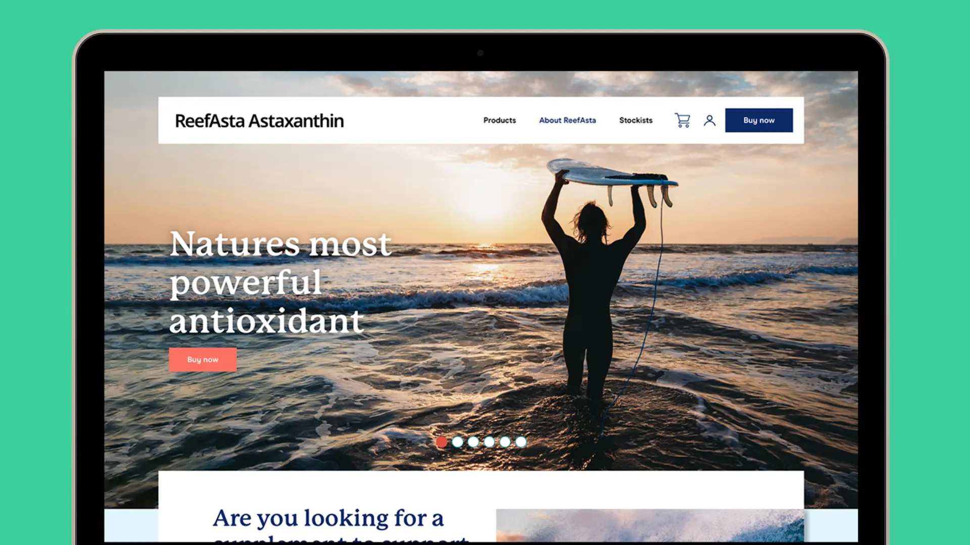 ReefAsta Site Design Screenview