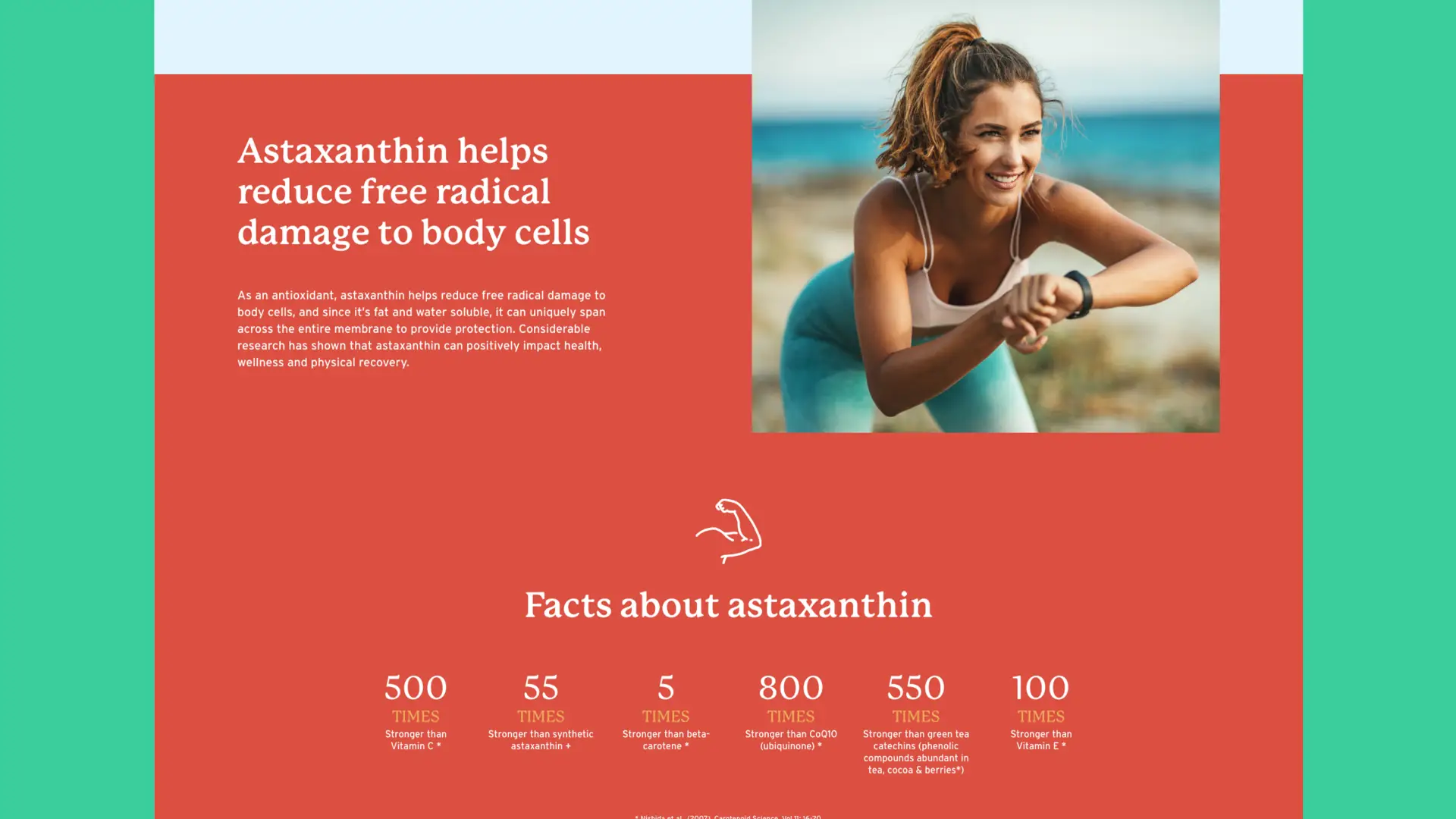ReefAsta Site Design Screenview