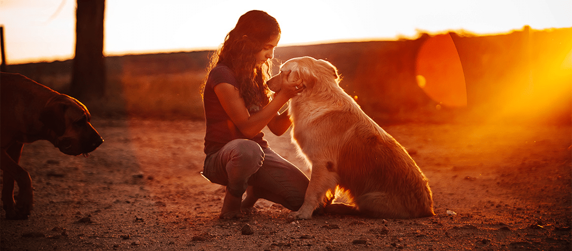 website not for profit charity image girl with dog - The Animals Melbourne Blog Image